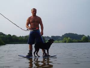 Single volker