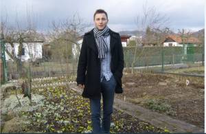 Single Stefan